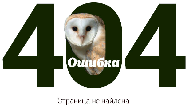 Страница не найдена